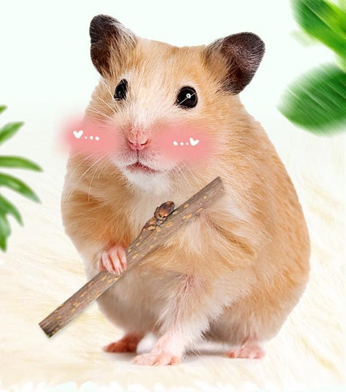 Wooden Bunny Bites: Natural Branch Chewing Snacks For Small Pets