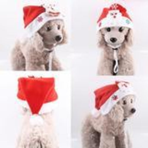 Festive Furry Friends: Christmas Hats For Pets