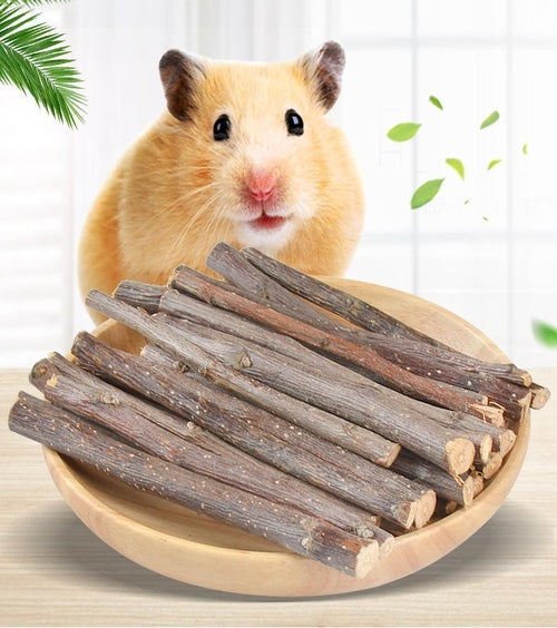 Wooden Bunny Bites: Natural Branch Chewing Snacks For Small Pets