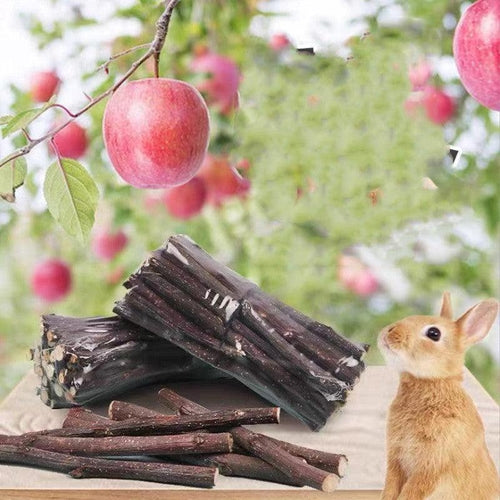 Wooden Bunny Bites: Natural Branch Chewing Snacks For Small Pets